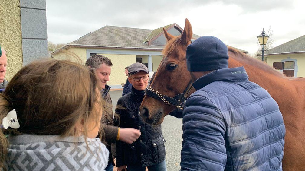 Tamayuz gets up close and personal with team Racing Post Bloodstock at Derrinstown Stud