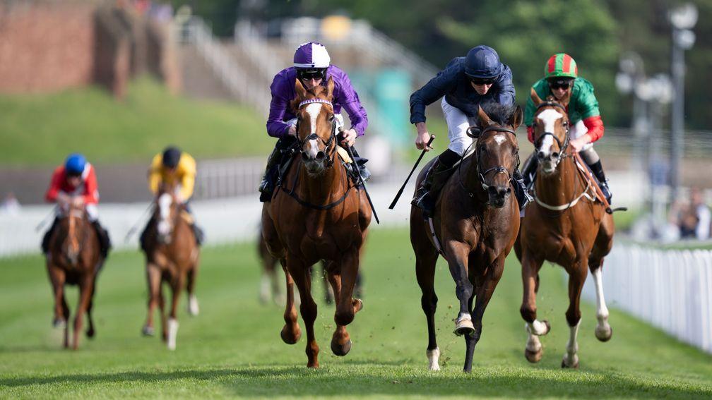 Temple Of Artemis: won handicap at Chester's May festival for Aidan O'Brien when last seen