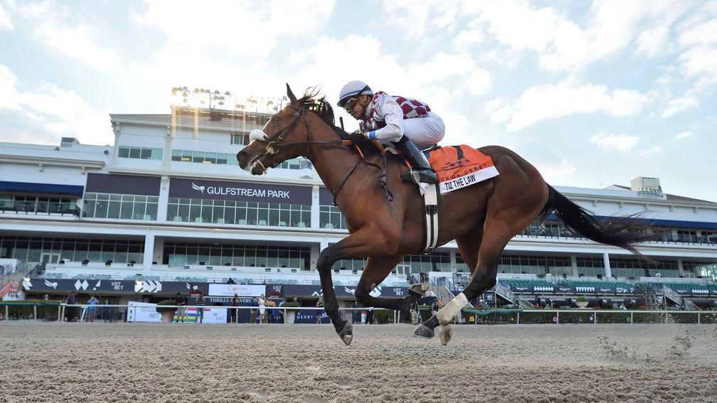 Tiz The Law: goes for the Kentucky Derby next