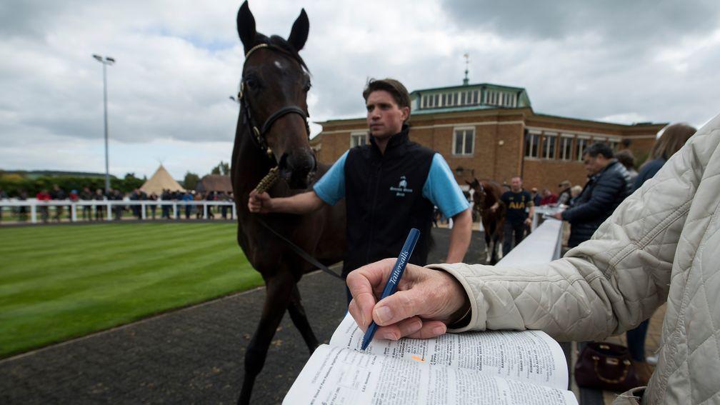 Tattersalls and Goffs have agreed a way to proceed