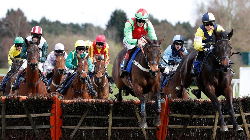 Market Rasen: summer jumping muscles in on the TV action alongside Newmarket's July meeting