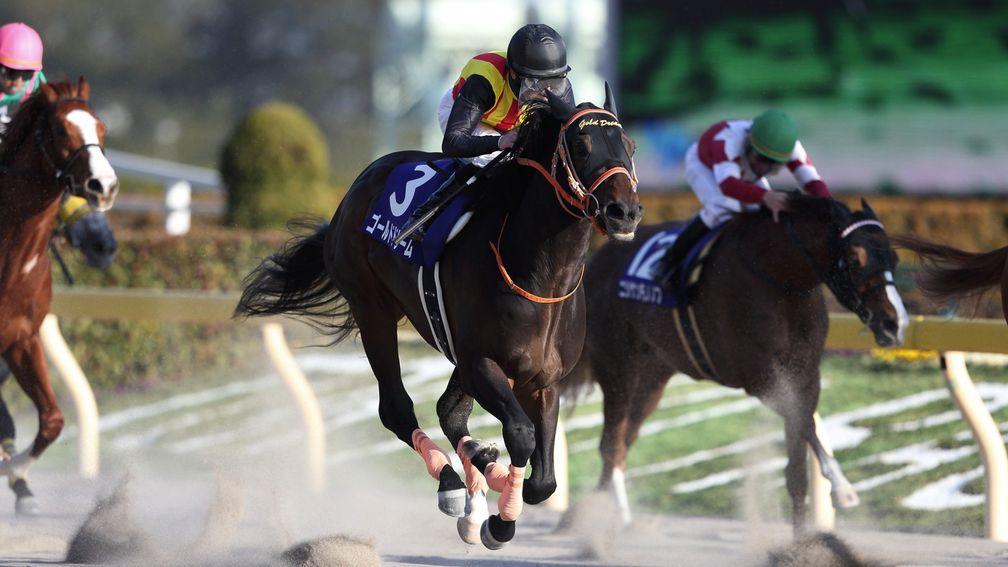 Mirco Demuro wins the February Stakes at Tokyo racecourse on Gold Dream
