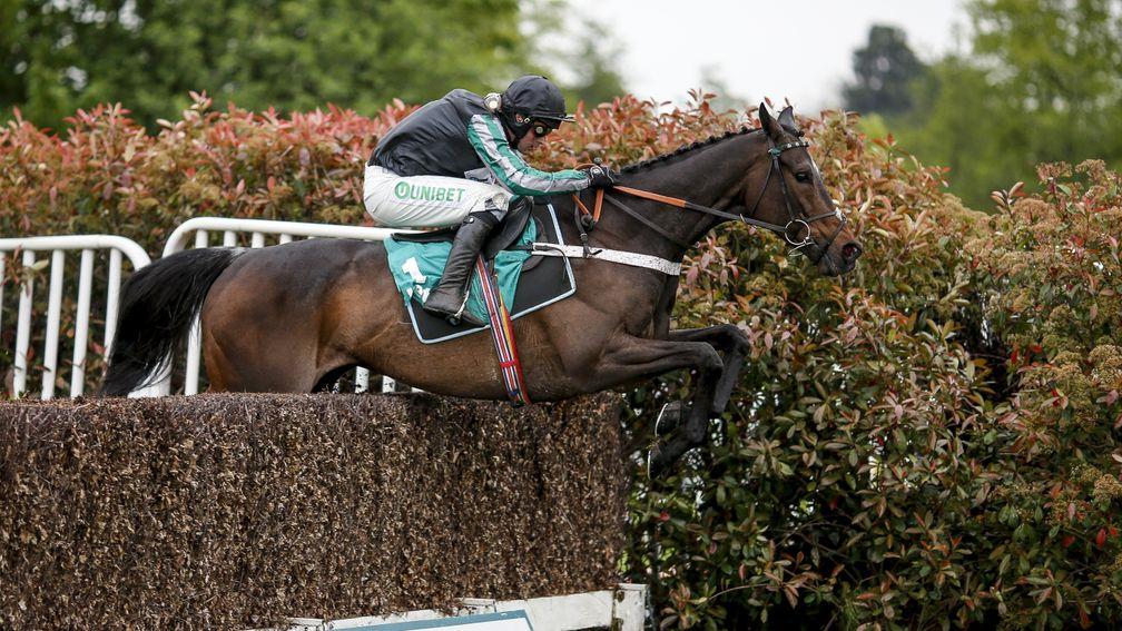 Altior: certain to prove the number one attraction at Sandown on Saturday