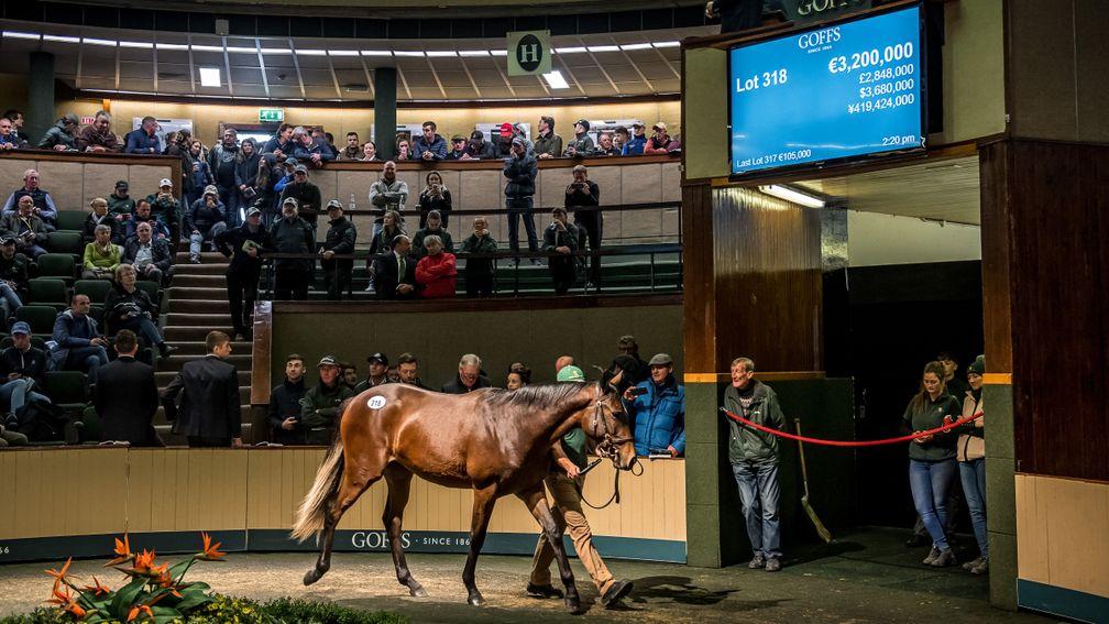 The Galileo filly out of Green Room, sold for a sale-topping seven-figure sum