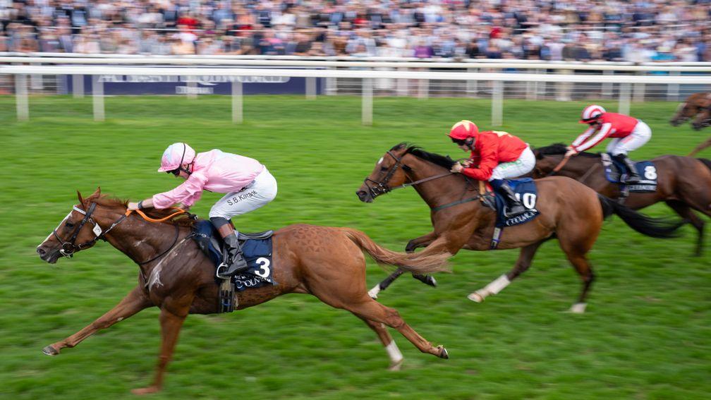 Highfield Princess (centre) and Bradsell (right): ran brave defeats in the Nunthorpe Stakes