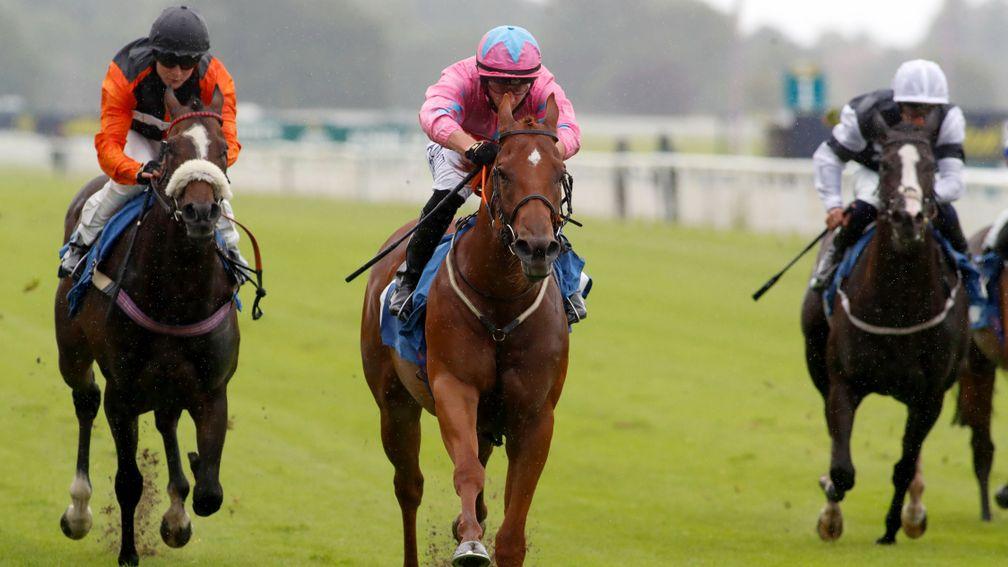 Live In The Moment (centre): trainer Adam West has high hopes for his candidate at York
