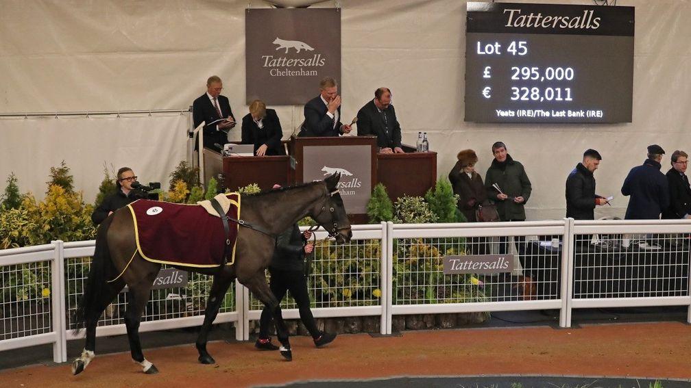 Chantry House topped the 2018 Tattersalls Cheltenham December Sale at £295,000