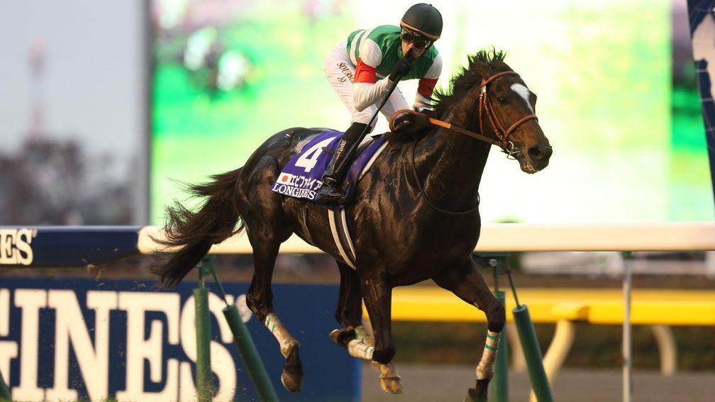 Epiphaneia: leading candidate for Almond Eye's first covering partner