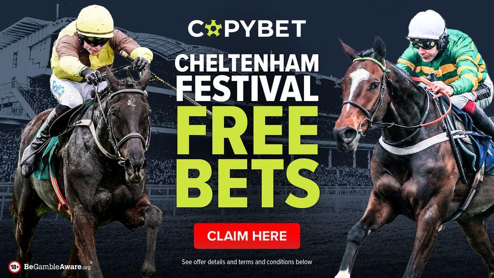 Copy Bet Cheltenham Festival Betting Offer