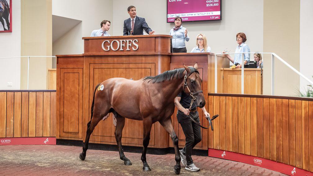 Sales-topper: the Kingman colt in the Doncaster ring before being knocked down for £440,000