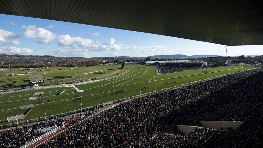Cheltenham: stages the November meeting this week