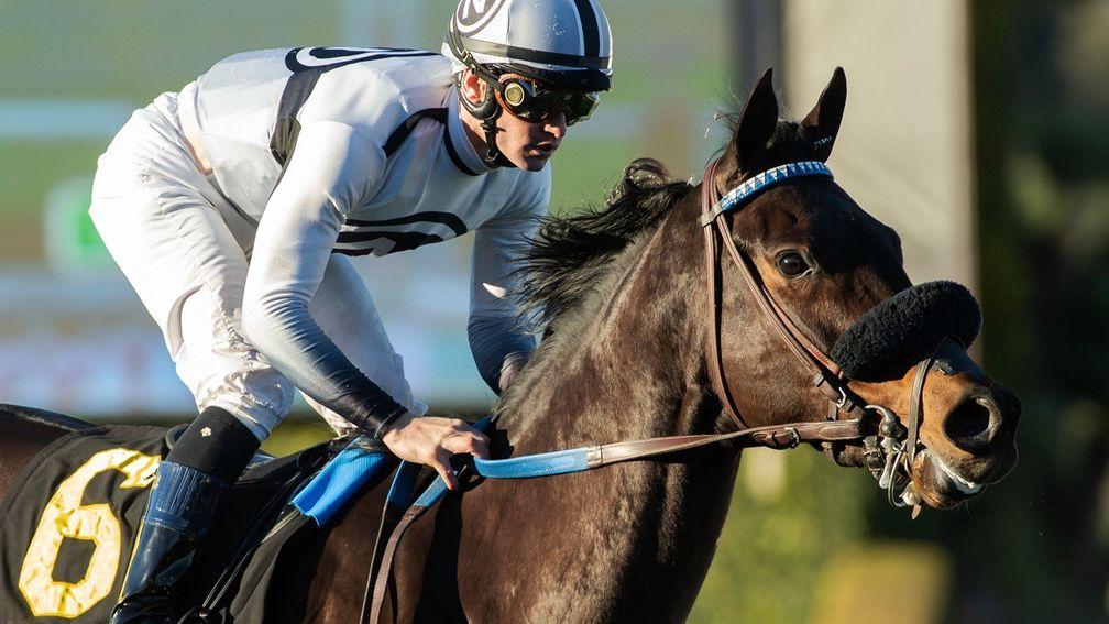Bellabel landed the Blue Norther Stakes at Santa Anita prior to the San Clemente at Del Mar