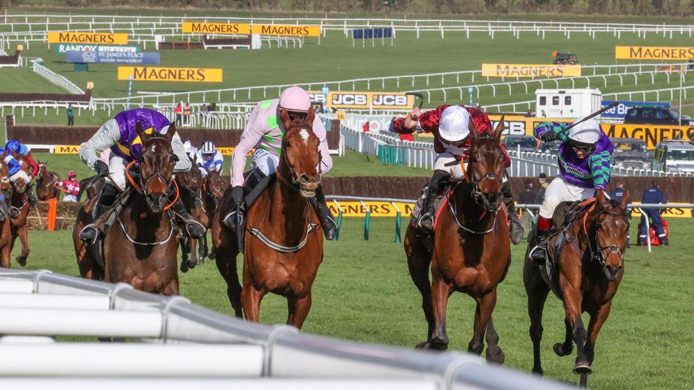 Thyme Hill (right): stayed on strongly in the Albert Bartlett Novices' Hurdle won by Monkfish (second left)