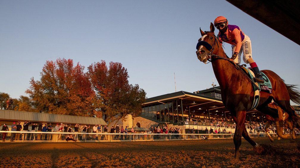 Authentic: the real deal in the Breeders' Cup Classic