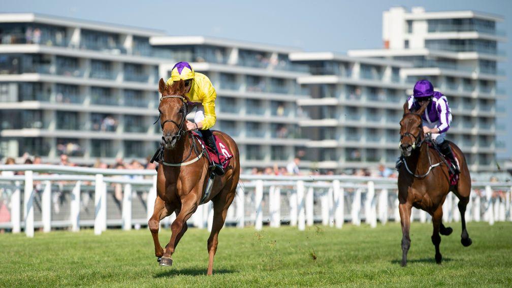 Sea Of Class: returns to Newbury for the Listed Abingdon Stakes