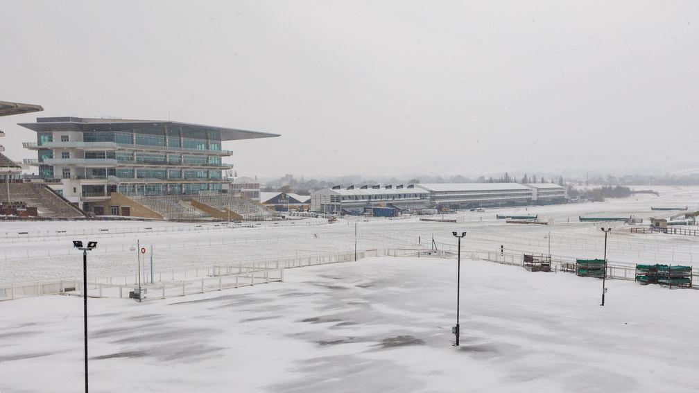 Cheltenham racecourse was covered in a blanket of snow in the weeks before the festival