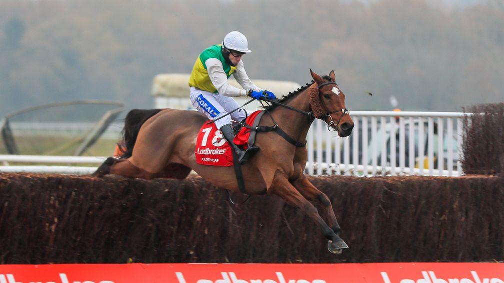 Cloth Cap: good ground would suit the Ladbrokes Trophy winner at Aintree