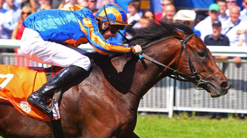 Power: will stand the 2018 breeding season at Oaklands Stud in New Zealand