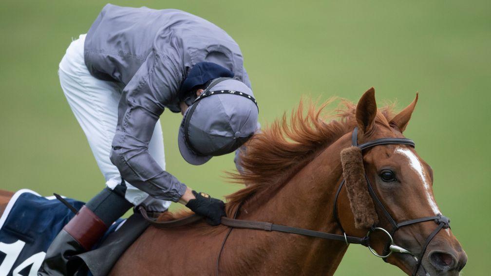 'The 241st running of the Investec Derby was a farce'