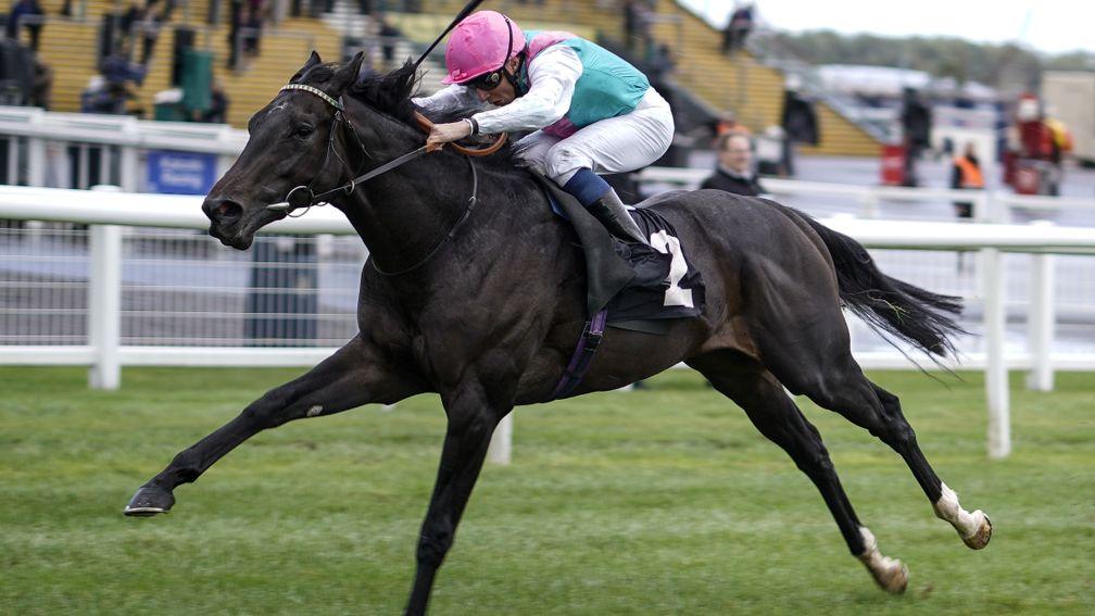Breath Of Air: looked a fine prospect when winning at Newbury