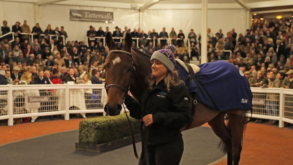 The top lot in the ring at Tattersalls Cheltenham on Friday