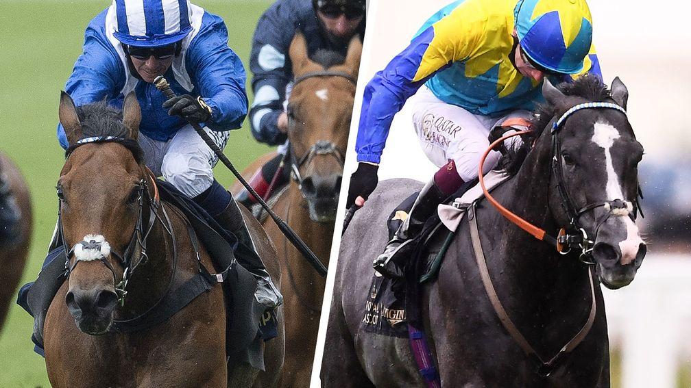 Battaash (left) faces a strong Group 2 King George field including Dragon Symbol (right)