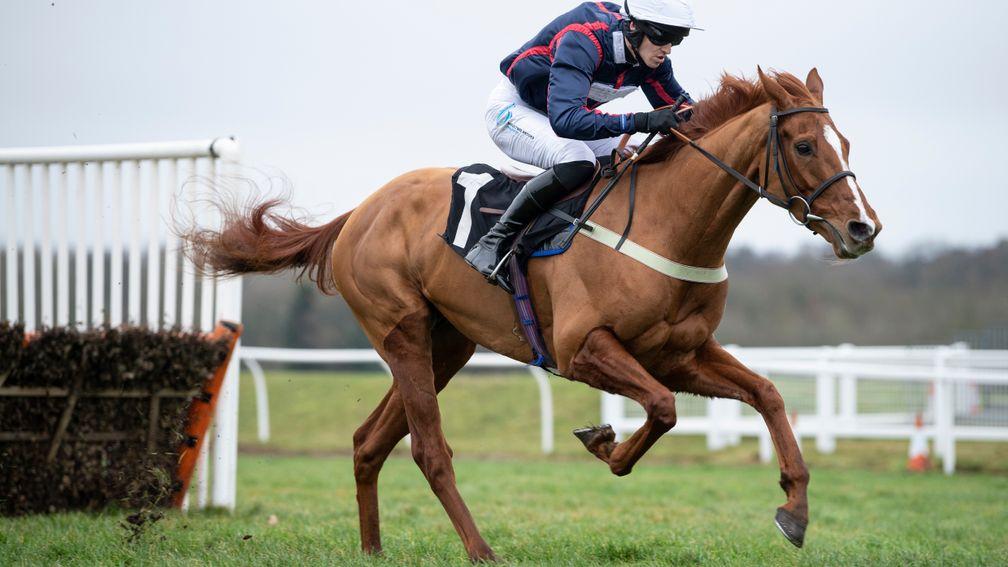 Song For Someone: likely to head to Aintree next after Tom Symonds revealed he will miss the Champion Hurdle