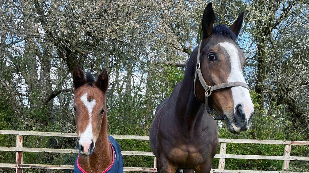 Cheveley Park Stud's Kingman filly out of Breeders' Cup Filly & Mare Turf winner Queen's Trust