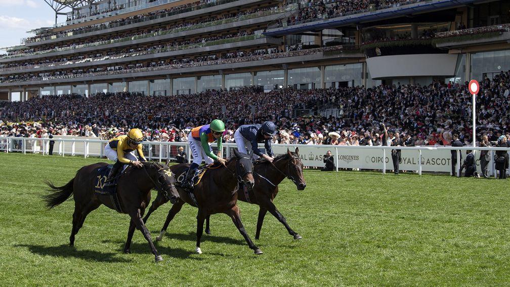 Pocket Dynamo (green cap): finishes second to Shang Shang Shang (near) in the Norfolk Stakes last month