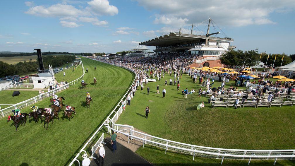 Goodwood: track will be split into eight enclosures for August 1 raceday