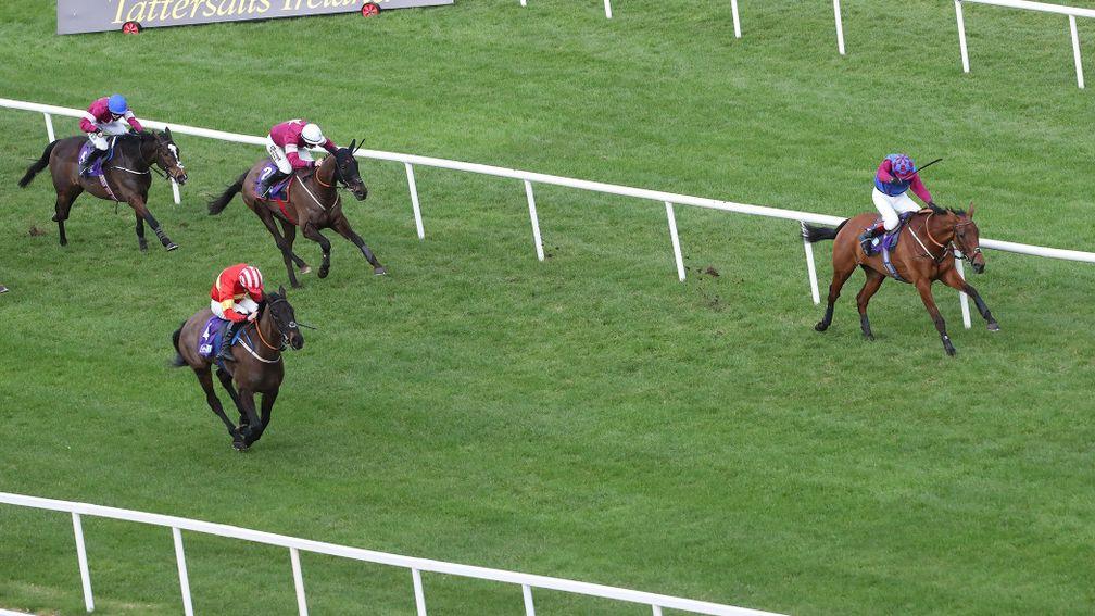 Kaiser Black (near side) was only narrowly beaten in the Grade 1 Flogas Novice Chase