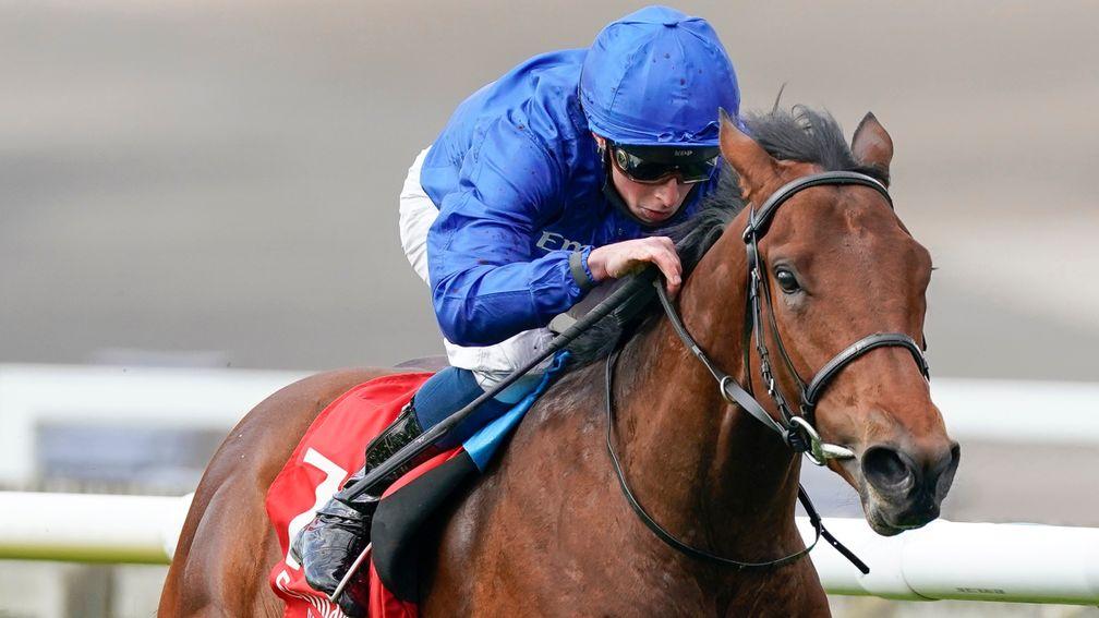 One Ruler: a good winner of the Autumn Stakes