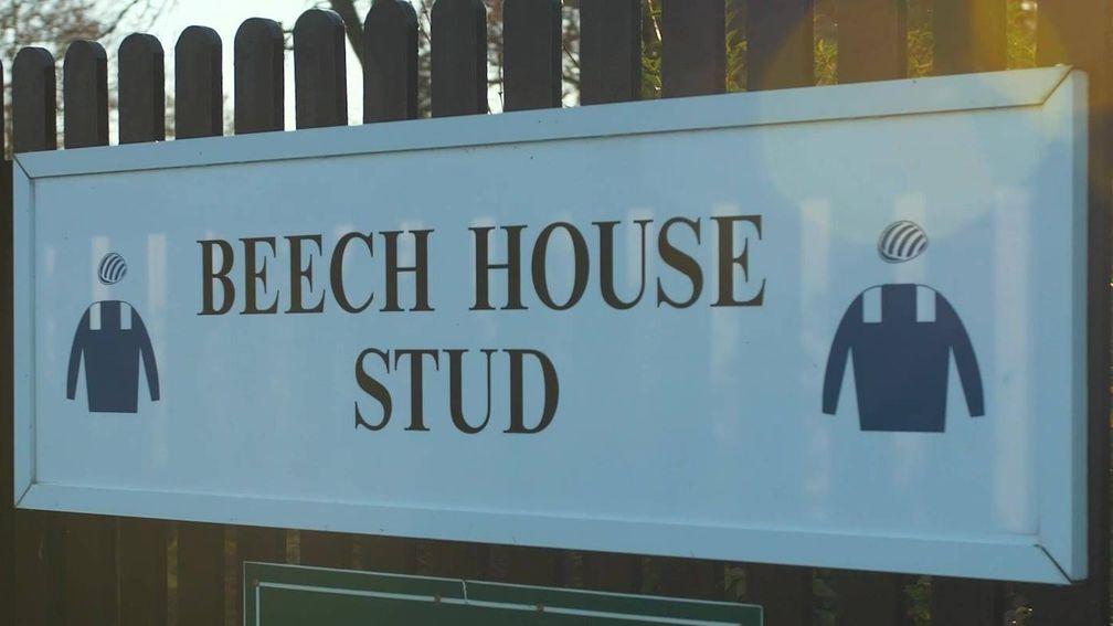Beech House Stud played host to the Shadwell stallion roster