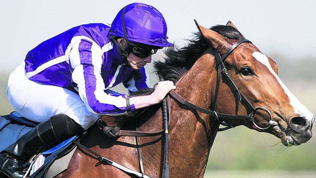 Minding: forced to miss Ascot but moving towards a return