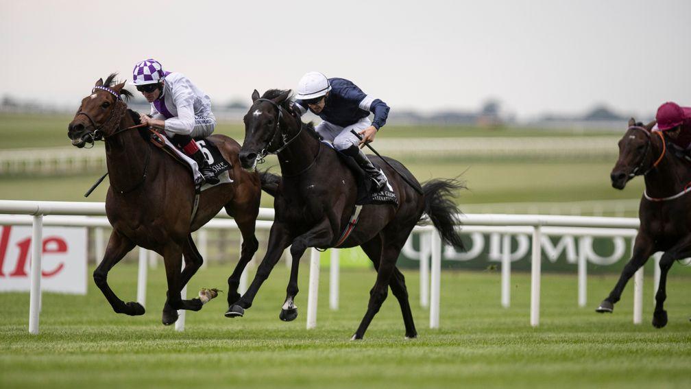 Twilight Payment (left) and Latrobe (white cap) face off again in the Irish St Leger
