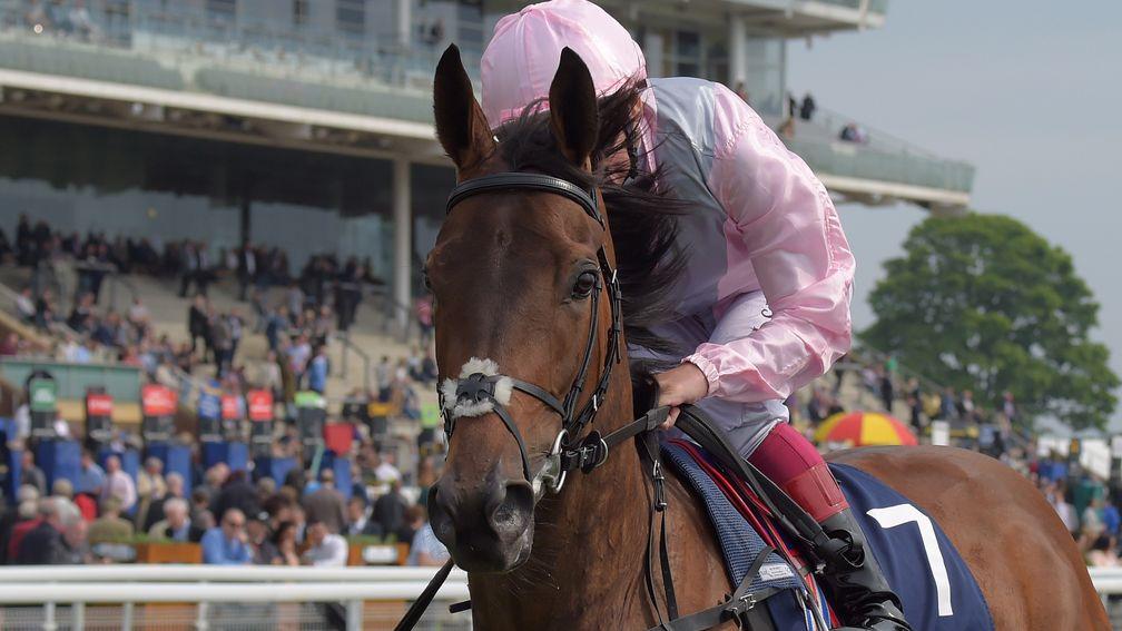 So Mi Dar starts her four-year-old campaign in York's Middleton Stakes