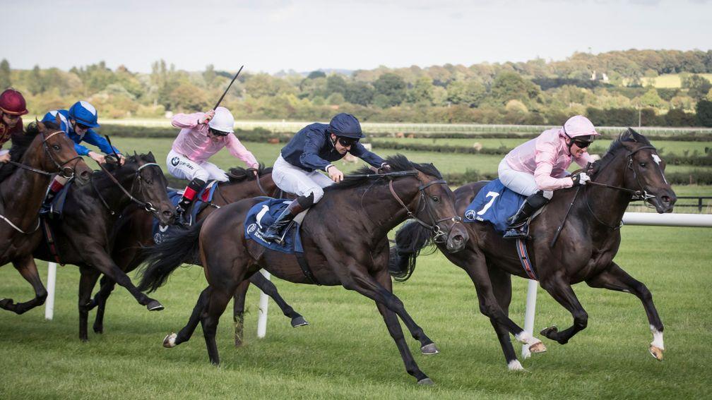 Isle Of Innisfree (pink) winning at Naas four days ago