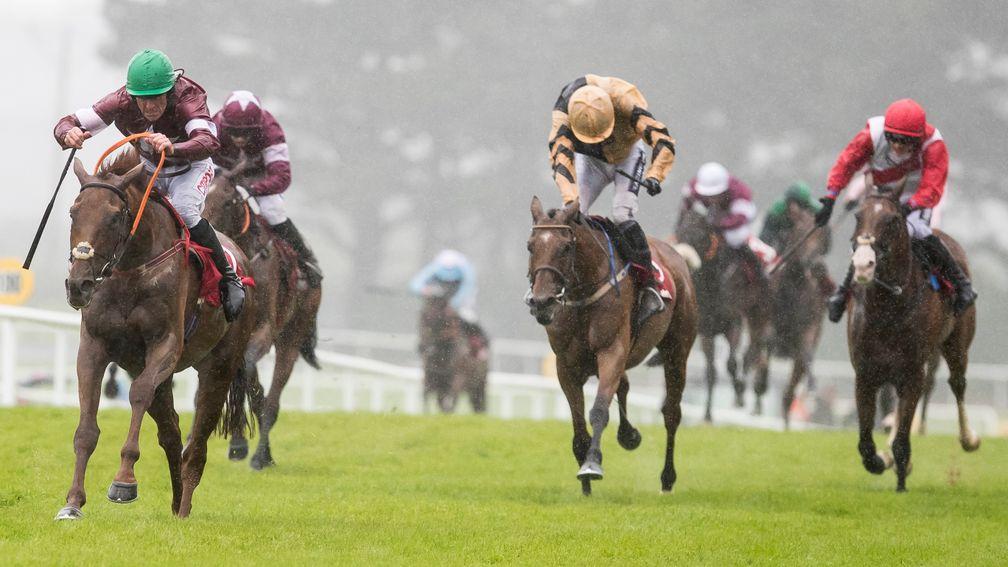 Balko Des Flos (green cap) on his way to victory in the Galway Plate