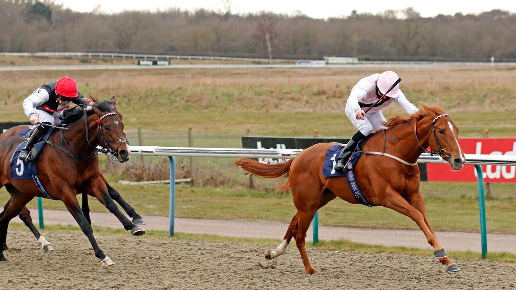 Megallan (red hat): unlucky second in the Spring Cup at Lingfield last time