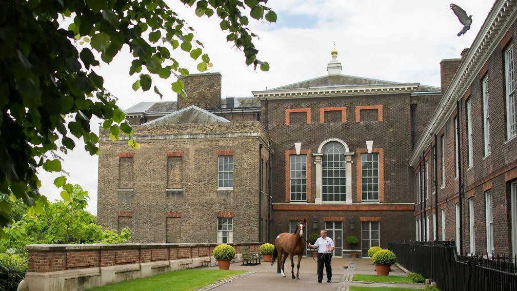 The Goffs London Sale is held in sumptuous surroundings