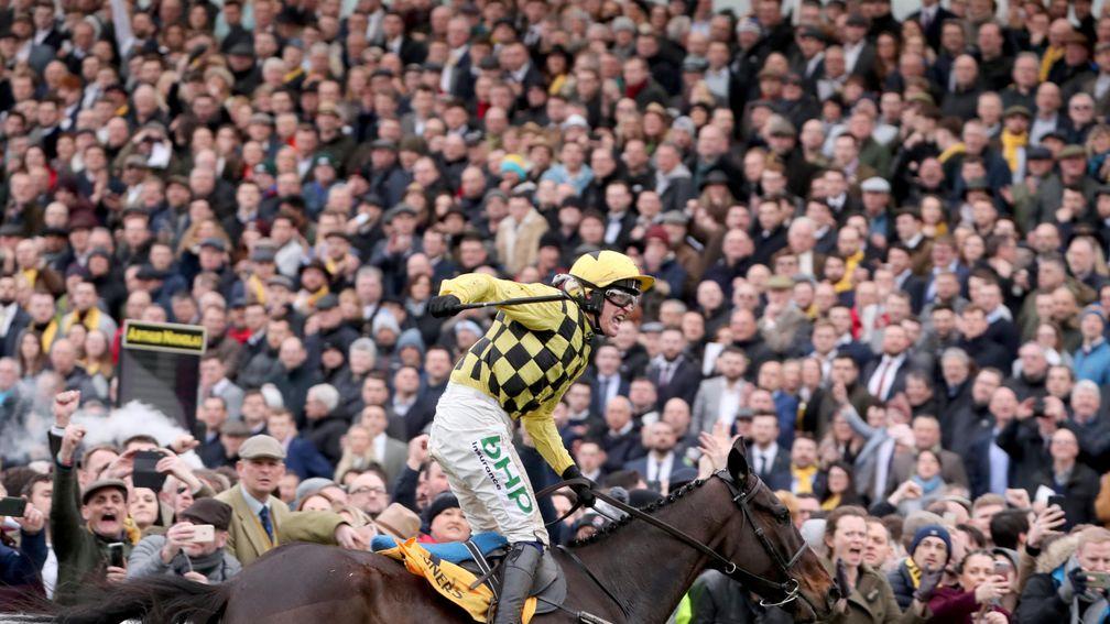 The Cheltenham Gold Cup, won last year by Al Boum Photo, is a huge magnet for racegoers and punters