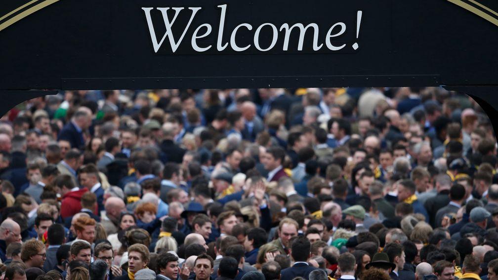 Cheltenham Festival: scenes such as these from the Guinness Village will be missing
