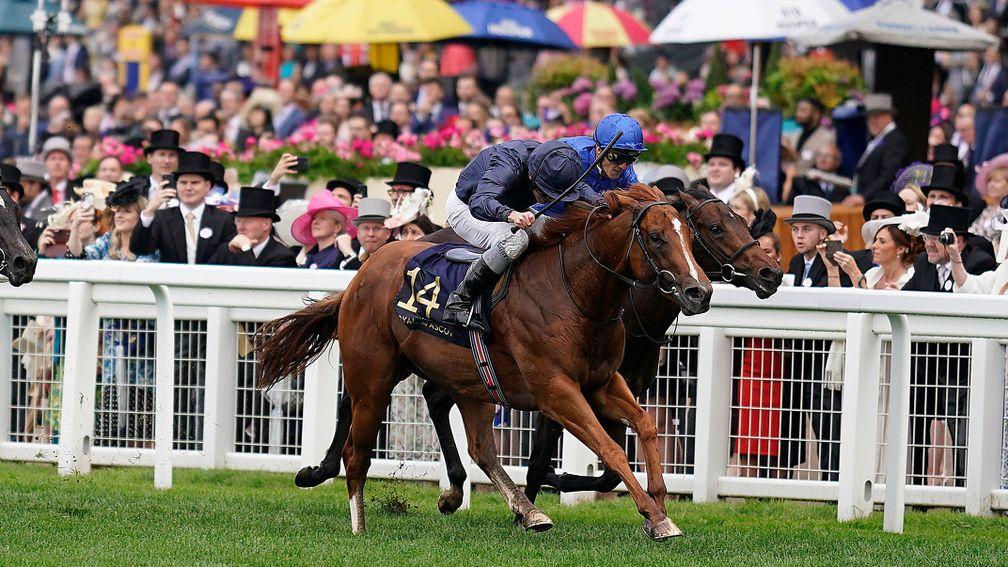 Southern Hills (dark blue): the Windsor Castle Stakes winner is one of five black-type performers sired by flying freshman Gleneagles