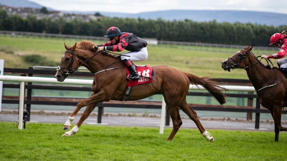 Crowns Major and Wesley Joyce land the feature 1m4f handicap at Galway