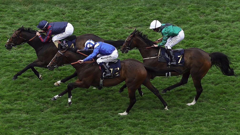 Limato (green) was third in the Diamond Jubilee to The Tin Man last year