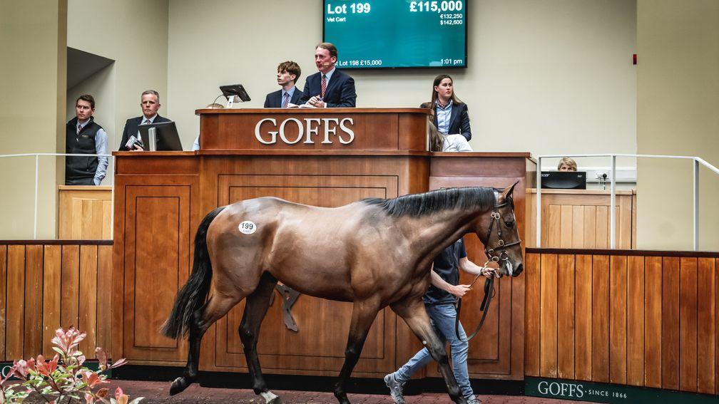 The Walk In The Park gelding out of Browngirlinthering sells to Highflyer Bloodstock for £115,000
