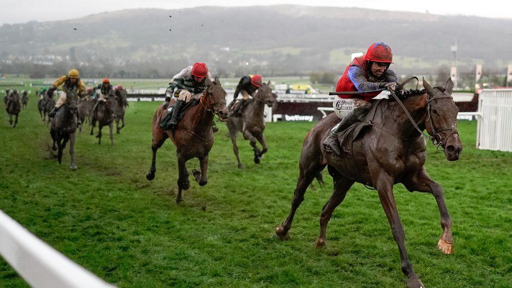 American Mike (red cap in second) finishes closest to Facile Vega in last season's Champion Bumper