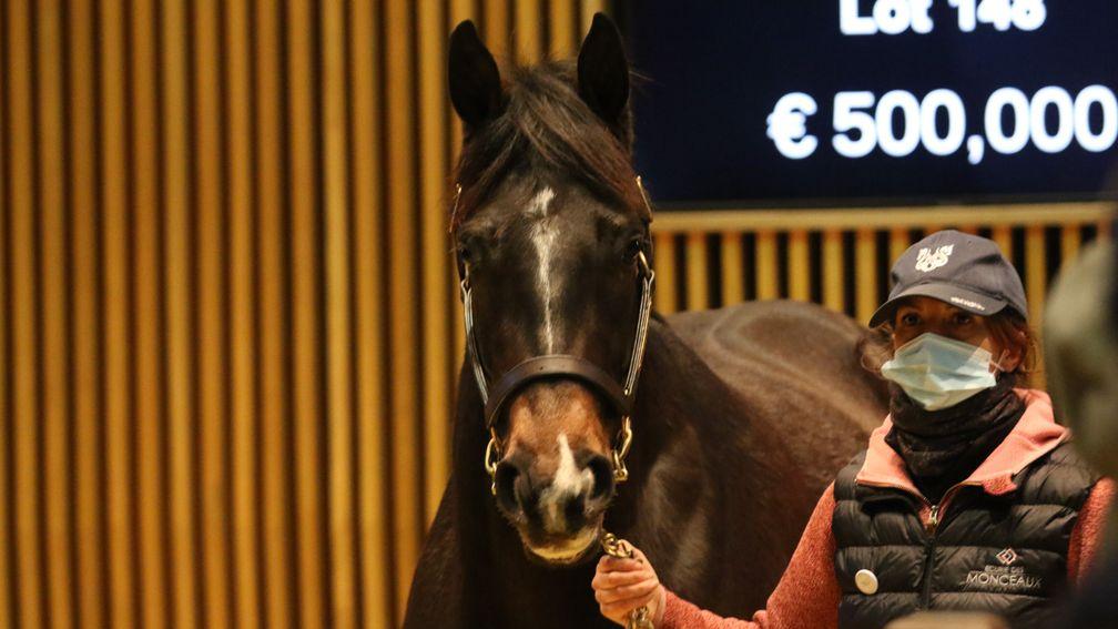 Psara: the daughter of Invincible Spirit fetches €500,000 to Meridian International