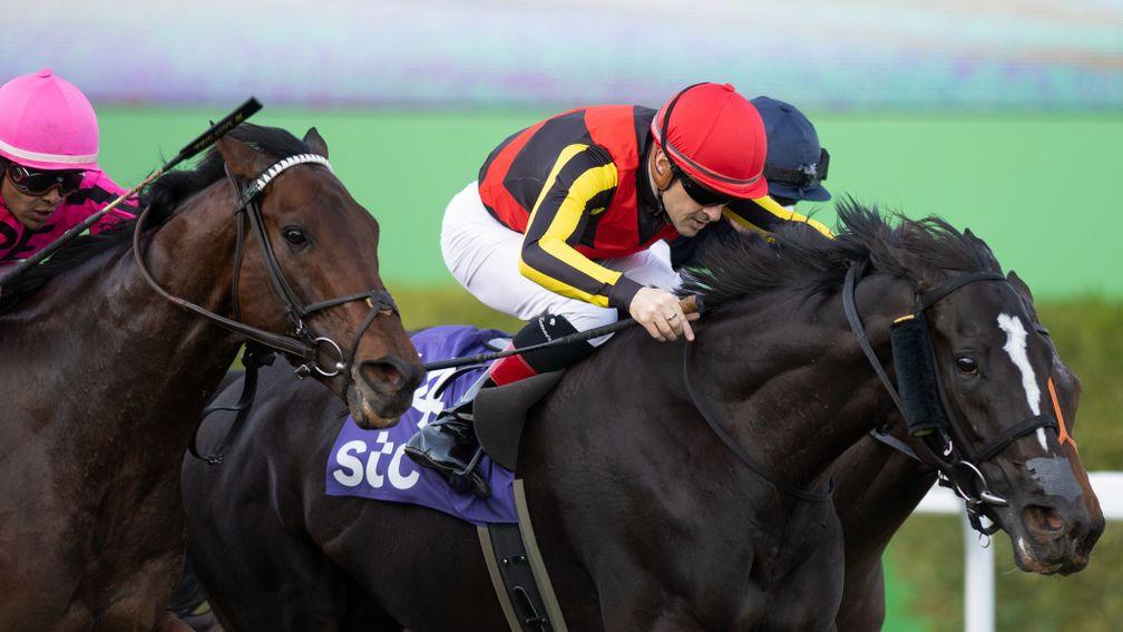 Songline: one of two Japanese winners out of Symboli Kris S mares on the Saudi Cup card