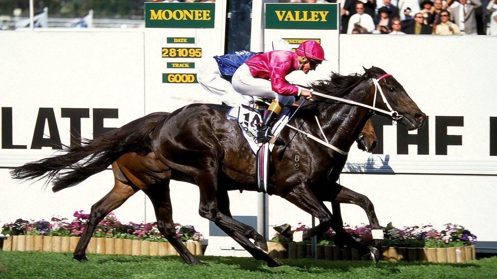 The Bob Ingham-owned Octagonal (near) wins the 1995 Cox Plate at Moonee Valley
